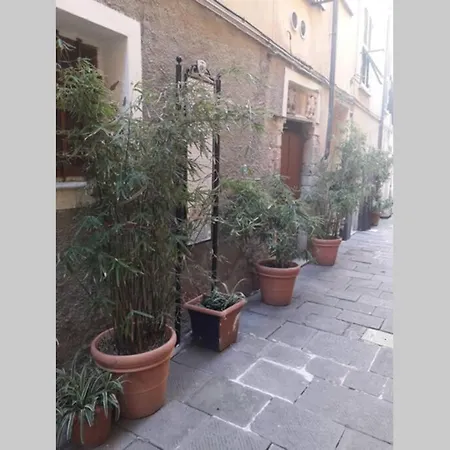 - Tiny Lovely Few Steps From The Water On A Traditional Narrow Street