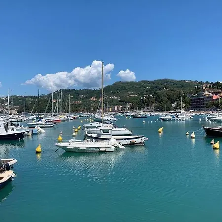 - Tiny Lovely Few Steps From The Water On A Traditional Narrow Street Lerici